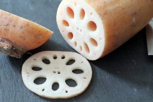 Hubei #3 Lotus <br>Produces Giant Edible Tubers!