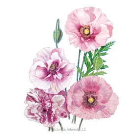 Pandora Poppy Seeds Pandora Poppy Seeds