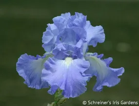 Victoria Falls Victoria Falls